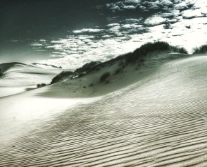 Croajingolong Sand Dunes, VIC, Australia