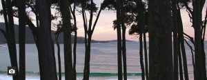 Depot Beach Campground. Photo: National Parks and Wildlife NSW.