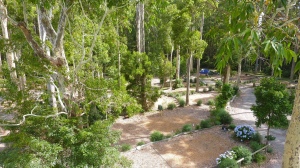 Durras Lake North campsite, NSW, Australia