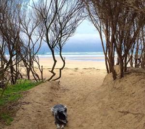 Inverloch Campground, VIC, Australia