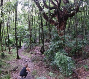 Mallacoota, VIC, Australia