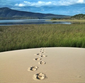 Mallacoota, VIC, Australia