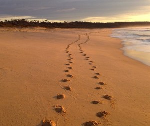 Tura Beach at Merimbula, NSW, Australia