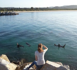 Watching seals. Narooma, NSW. Photo: Nicky_Harding