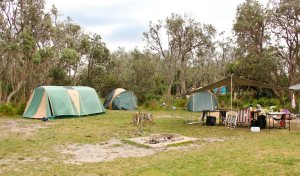 Picnic Point Campground, Mimosa Rocks National Park