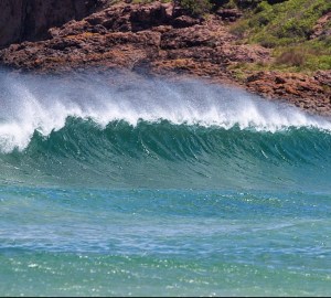 Killalea Beach. Photo: s1mplem1nds