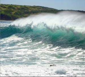 Killalea Beach. Photo: s1mplem1nds