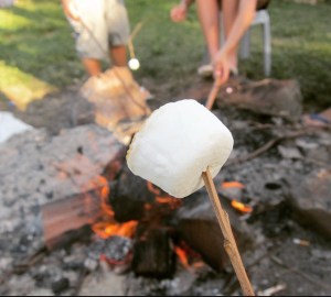 Toasting marshmallows at Killalea campground. Photo: TheRealAnnie