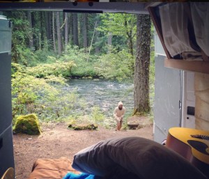 Campervan life
