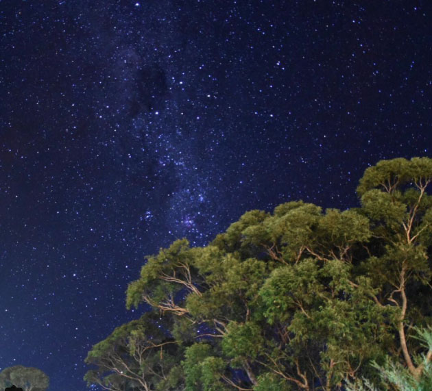 Photo: Adam.Camilleri.Photography