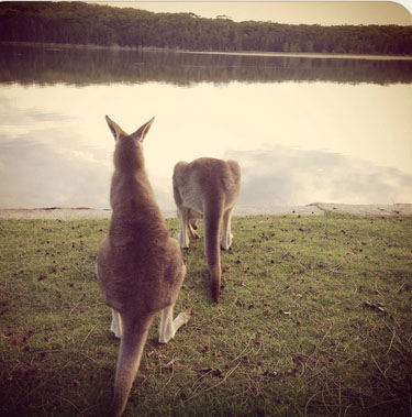 (c) Lake Conjola Entrance Holiday Park