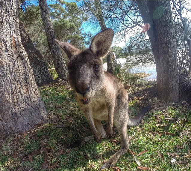 Photo: LiveMoreTravelMore