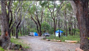 Termeil Point Campground. Photo: National Parks and Wildlife NSW.