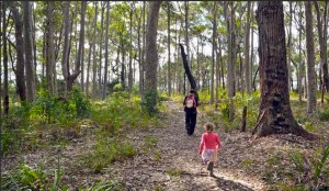 Meroo Head Lookout walking trail. Photo: National Parks and Wildlife NSW.