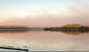 Meroo Head Lookout walking trail. Photo: National Parks and Wildlife NSW.