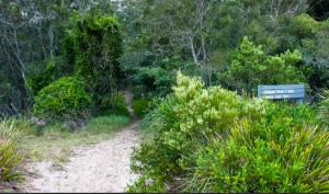Nuggan Head walking trail. Photo: National Parks and Wildlife NSW.