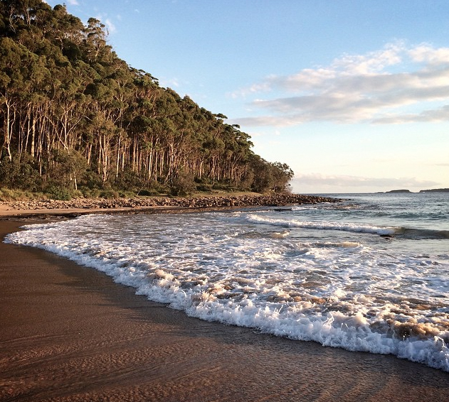 Best beach camping NSW, Australia. Murramarang National Park. Photo: Wallace68