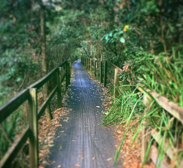 Photo: NicoleFellows