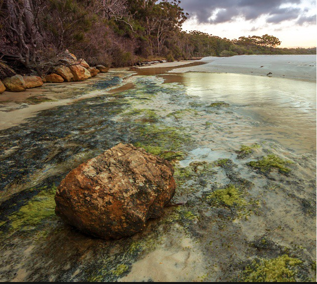 Photo: Red_Imagination_Photography