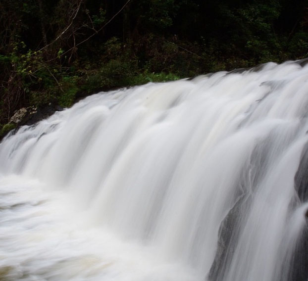 Malanda Falls swimming hole on the Atherton Tablelands near Cairns, Australia. Photo:  A_Mair