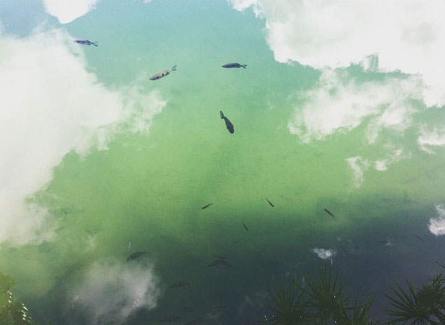 Lake Eachem crater lake near cairns. Photo: BessMurph