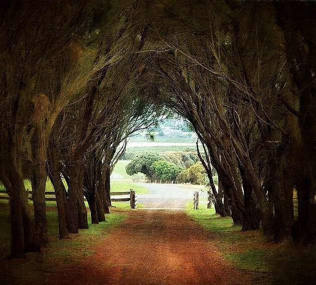 Churchill Island, off Phillip Island, Victoria, Australia. Photo: LJKEagle