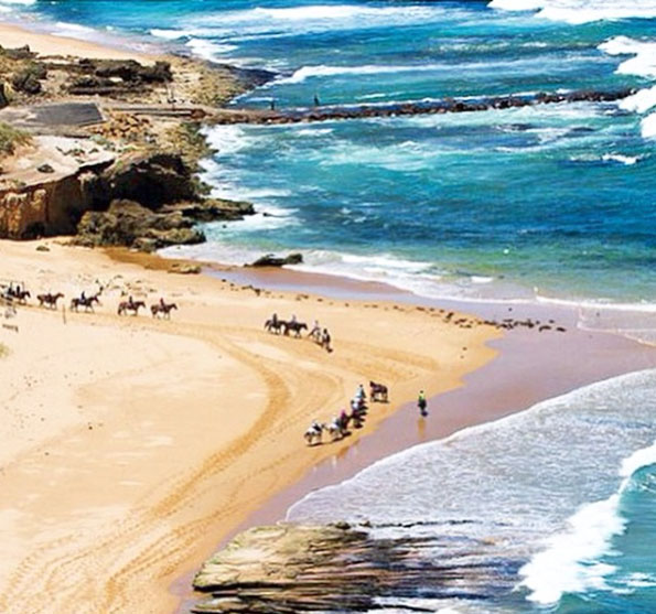 Gunnamatta Trail Rides on Gunnamatta Beach.  Mornington Peninsula, Victoria, Australia. Photo: GunnamattaTrailRides