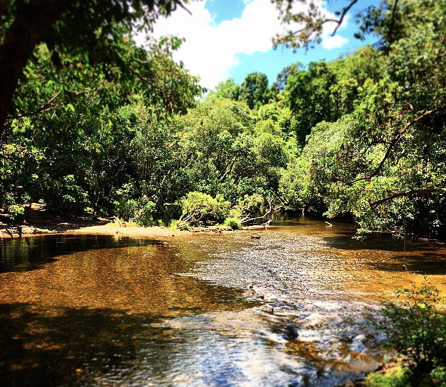 Mulgrave River, Goldsborough Valley near Cairns. Photo:  HickyMan