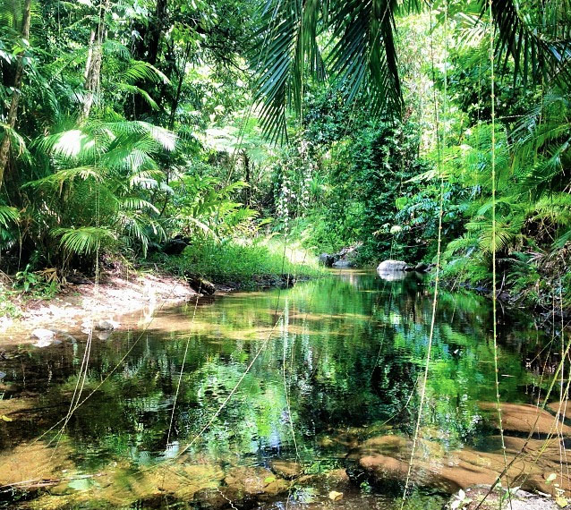 Mulgrave River. Photo: JadeEeEee