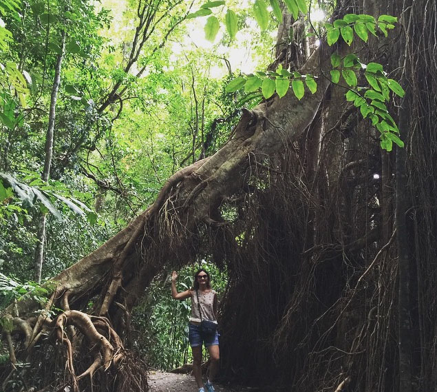 Rainforest trail at Lake Eachem crater lake near cairns. Photo: MaruSiadol