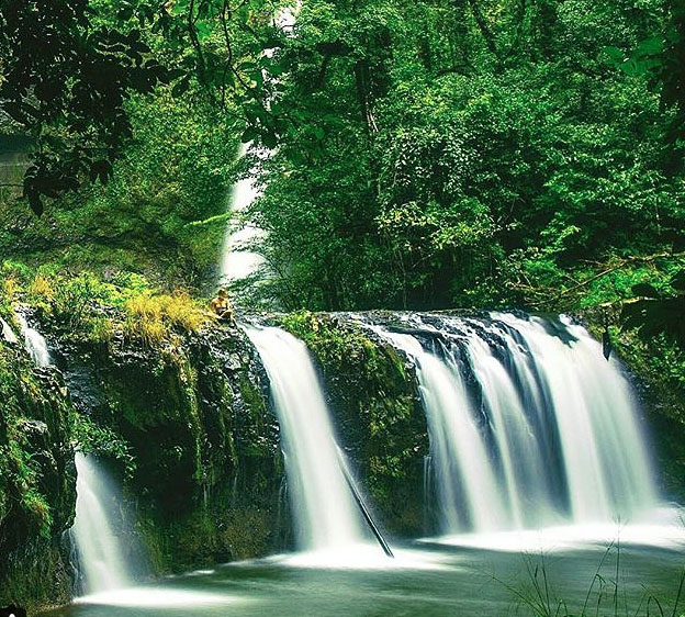 Nandroya Falls (lower), Wooroonooran National Park. Photo: Mitch.Cox