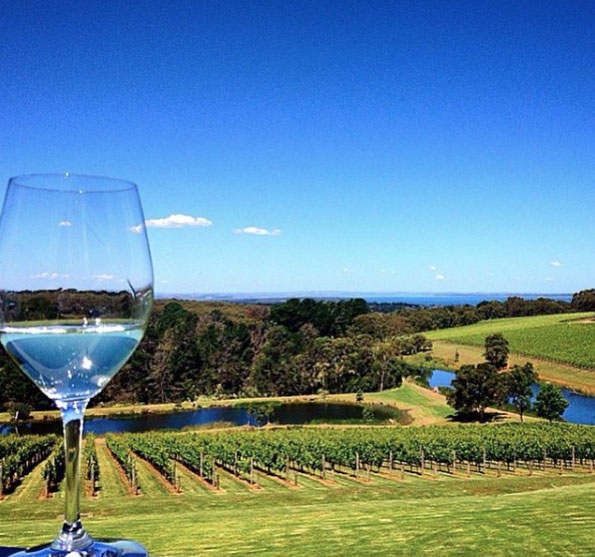 Chardonnay and a view at Port Phillip Estate. Mornington Peninsula, Victoria, Australia. Photo: the_backpack_