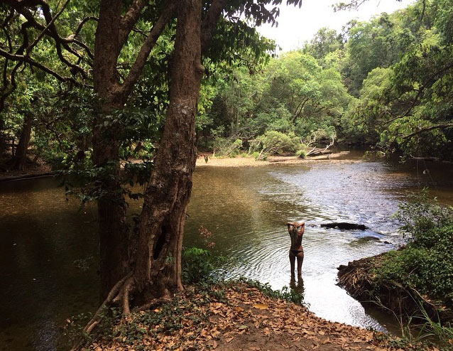 Mulgrave River in Goldsborough Valley. Photo: SusannaHoszek