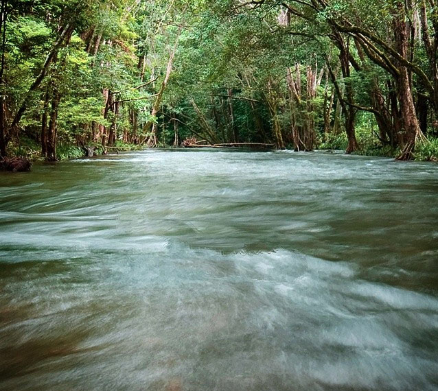 Musgrave River, Goldsborough Valley near Cairns. Photo:  The_Cameron_Mackie