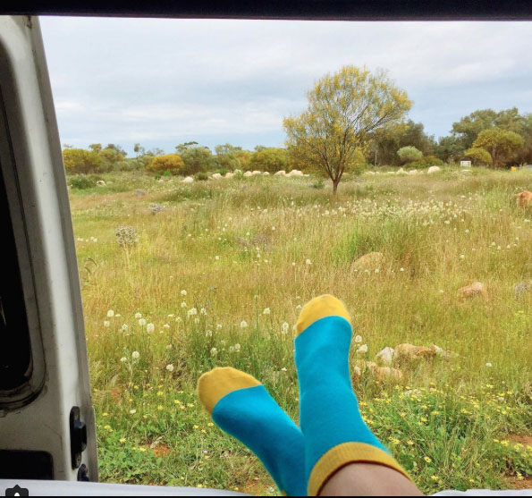 What's my view today? Meadows and daisies. Photo: TheTravelCrumb