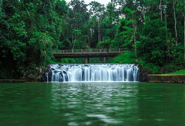 Malanda Falls swimming hole on the Atherton Tablelands near Cairns, Australia. Photo:  Tiffonee_Wallis