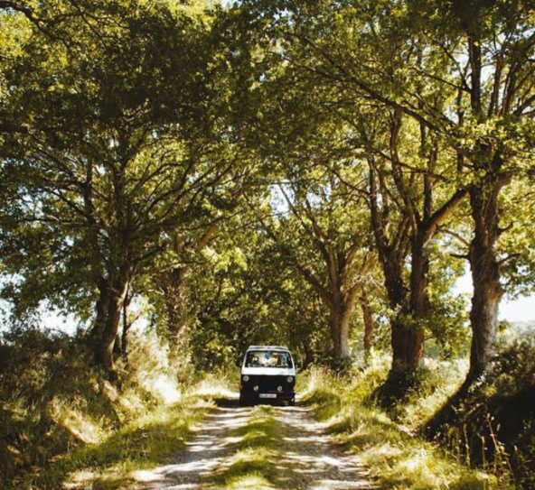 vanlife_mortonontheroad