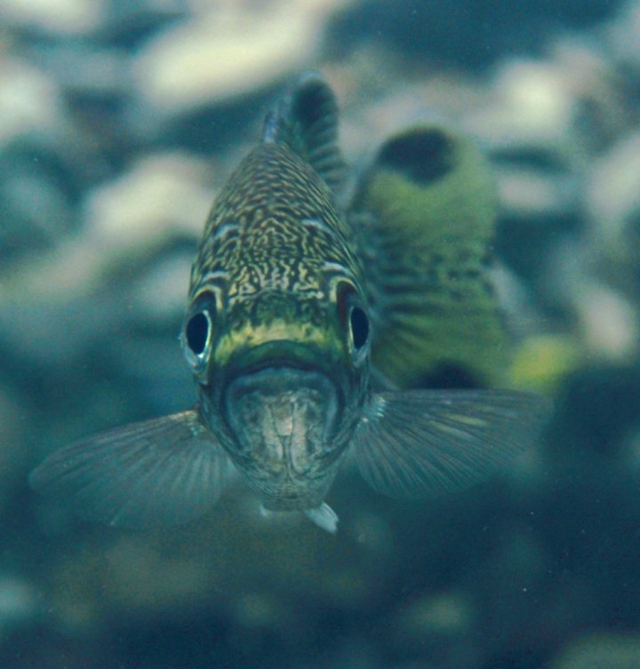 Photo: 72 And Rising.