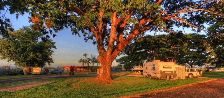 August Moon Caravan Park, Innisfail, Queensland, Australia. Grassy camp area.