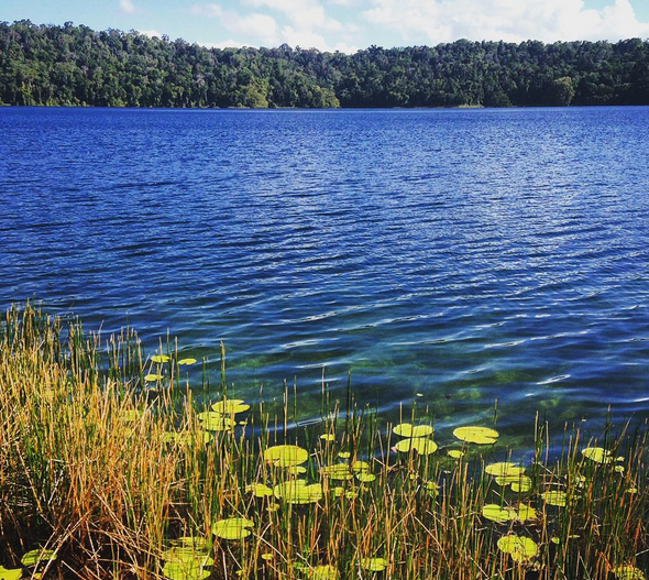 Lake Barrine, North Queensland, Australia. Photo: DelinaDesign
