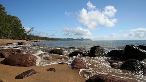 Ella Bay National Park, Queensland, Australia. Photo: News.com.au