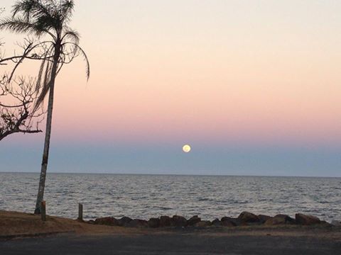 Flying Fish Point, Queensland, Australia. Photo: Flying Fish Point Cafe
