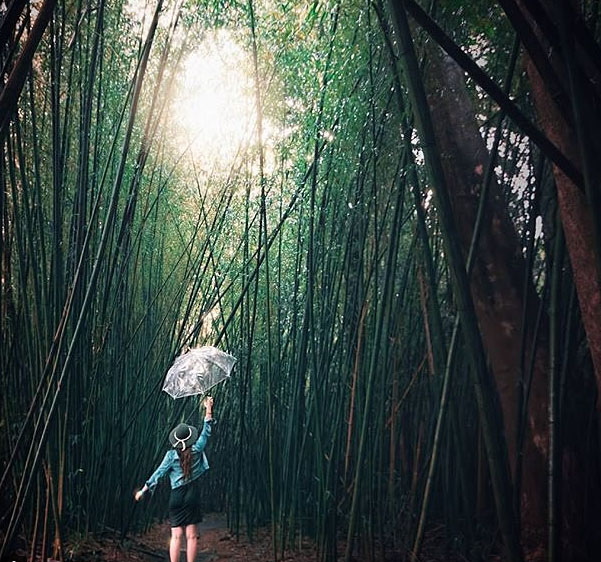 Paronella Park, Queensland, Australia. Photo: JadeKristel