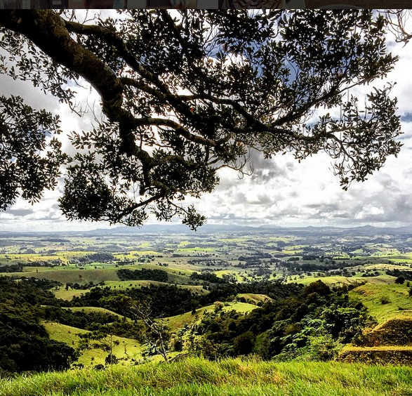 Millaa Millaa Lookout, Queensland, Australia. Photo: LuizaKatian