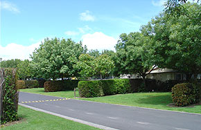 Mornington Gardens Holiday Village hedged sites.