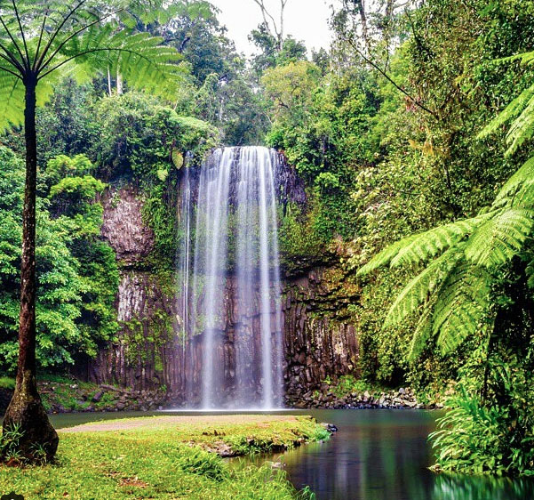 Millaa Millaa Falls, Queensland, Australia. Photo: MyColourfulWorld_