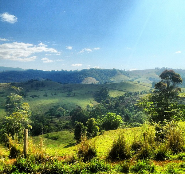The rolling green hills of Mungalli Creek Dairy. Queensland, Australia. Photo: Sera_loves_crocs 