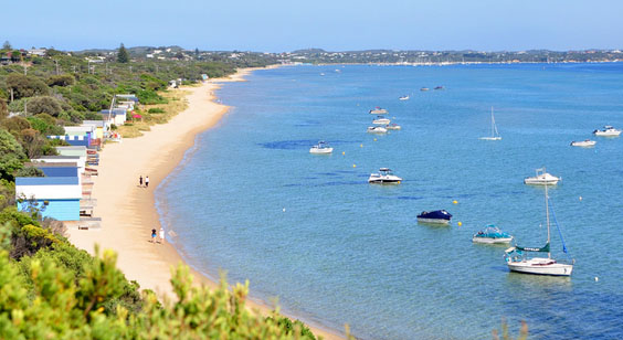 Tyrone Camp Ground on the beach, Mornington Peninsula. Photo: Whitecliffs.com.au