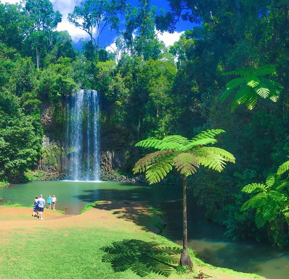 Millaa Millaa Falls, Queensland, Australia. Photo: Viellenist