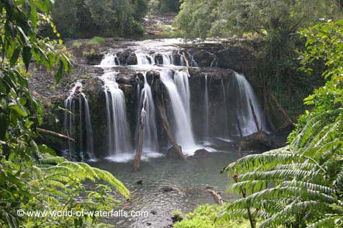 Wallicher Falls, Wooroonooran National Park, Queensland, Australia. Photo: World-of-waterfalls.com